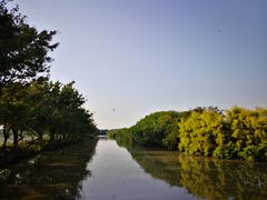 -大湾区中央湿地公园