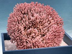 -中国湿地博物馆