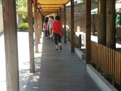 -长兴岛郊野公园农场食堂