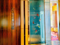 -金轩中餐厅 Jin Xuan(浦东丽思卡尔顿酒店)