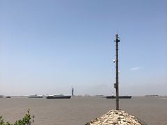 -上海滨江森林公园