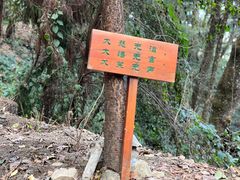 -寂照庵