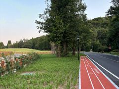 -棒棰岛宾馆景区