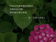 -曼朗心理咨询·旗舰店