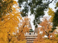 -北京石刻艺术博物馆(五塔寺)