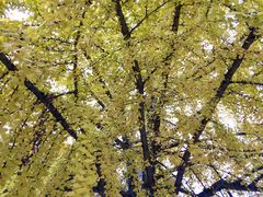 -东坡赤壁风景名胜区