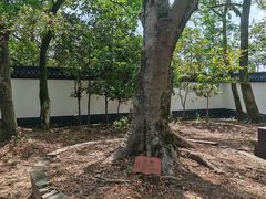 -上海佘山国家森林公园天马山园