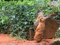 -云南野生动物园