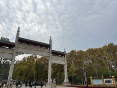 -青龙山国家森林公园
