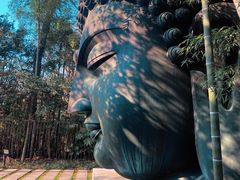 -杭州植物园
