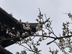 -钱王祠