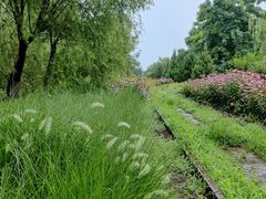 -永定河休闲森林公园