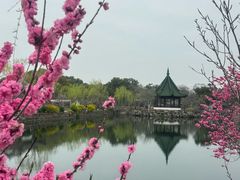 -无锡蠡湖国家湿地公园-蠡园