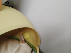 -长春香格里拉