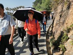 -羚羊峡古栈道森林公园
