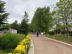 -莫子山公园