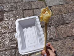 -内涵饵块
