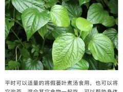 -华姐鸡粉(教育路店)