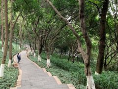 -龙头寺公园