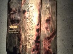 导引-上海崧泽遗址博物馆