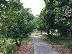 -鹤之洲湿地公园
