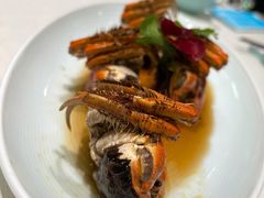 -蝶园·装修中(BFC外滩金融中心店)