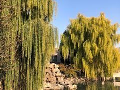 -莲池书院博物馆