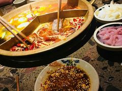 -小龙坎火锅(东汇城店)