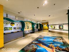 -上海昆虫博物馆