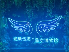 -迷斯伍德星空博物馆