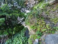 -乌山风景区