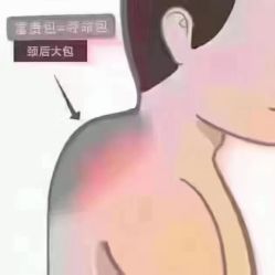 点击看大图 -香薇妮丝女子减肥院