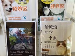 -问山MountQuest攀岩馆