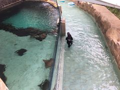 -新加坡水上探险乐园