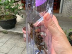 -黄埔古港