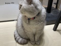 -Oasis绿洲银饰珍珠手作diy(壹方城店)