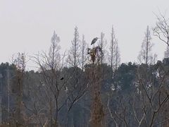-嘉北郊野公园