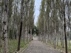-东郊湿地公园