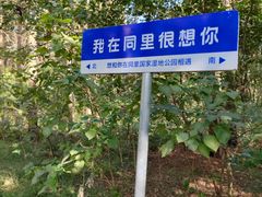 -同里国家湿地公园