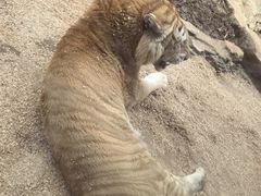 -杭州野生动物世界