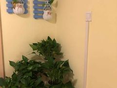 -吉的堡幼儿园(上海徐家汇路园)