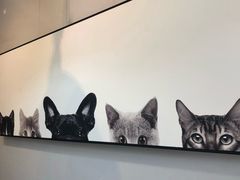 -吃饼人西餐(南开店)