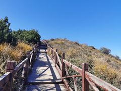 -阳台山自然风景区