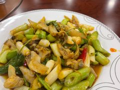 凉拌假鲍鱼-老苏扬饭店