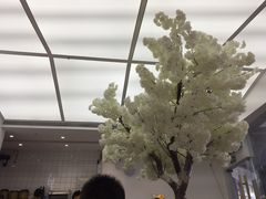 -艾薯夫妇Aysh(福田星河COCOPark店)