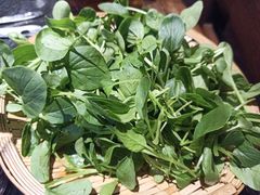 有机蔬菜-大匠工房古船木艺术餐厅·猪肚鸡专门店(长白仙岛店)