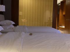 -上海嘉定喜来登酒店