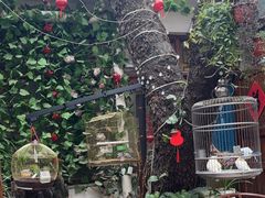 -丽江庭院·云南野生菌·海鲜火锅(鼓楼四合院店)