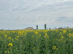 -中国天府农业博览园