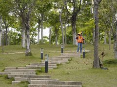 -牛岗山公园